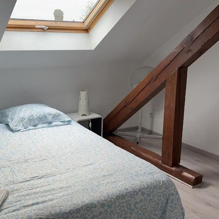 Le Manoir De Cyrielle A 10 Min Du Centre De Strasbourg Lägenhet Bischheim Exteriör bild